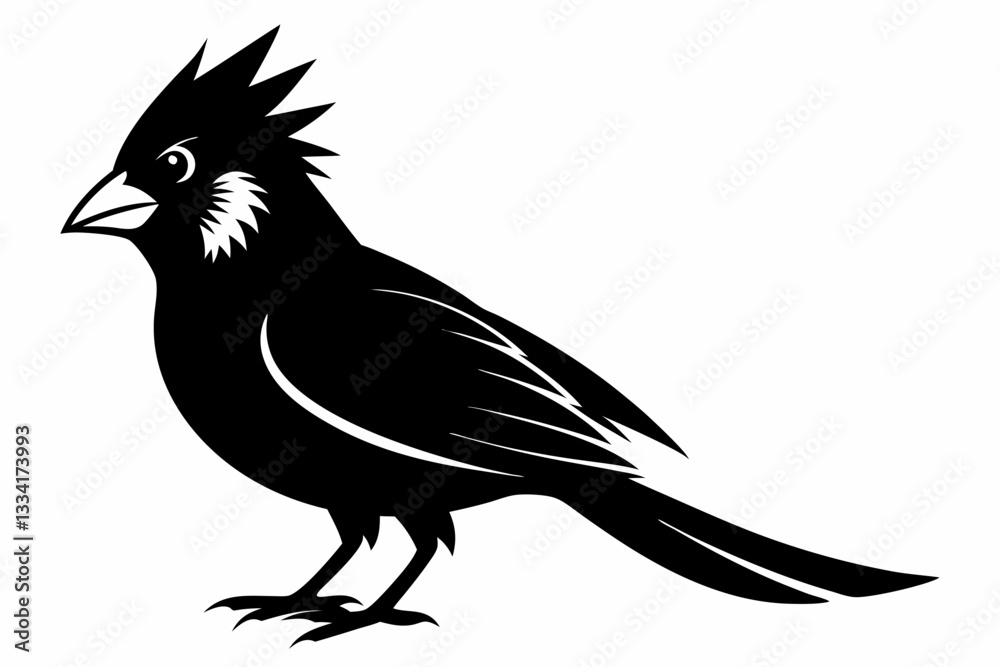 Fototapeta premium cardinal line art silhouette vector illustration