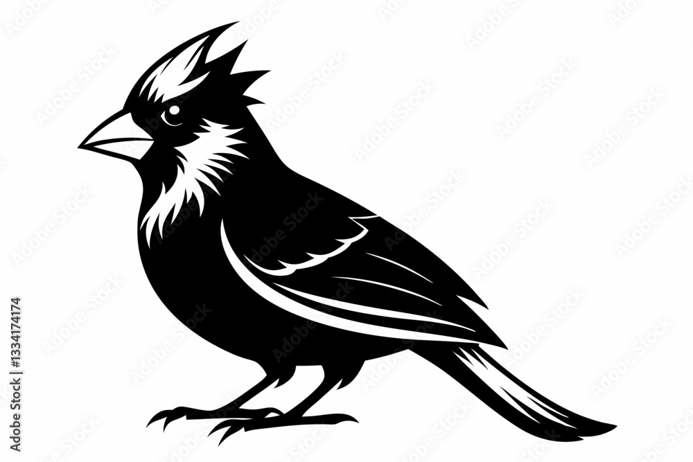 cardinal line art silhouette vector illustration cardinal line art silhouette vector illustration