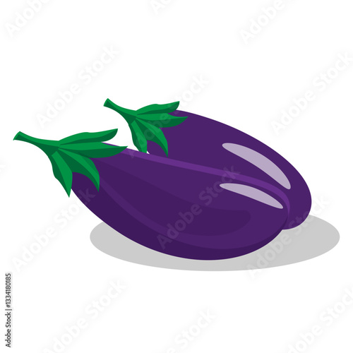 Eggplant isolated on a white background. vector illustration