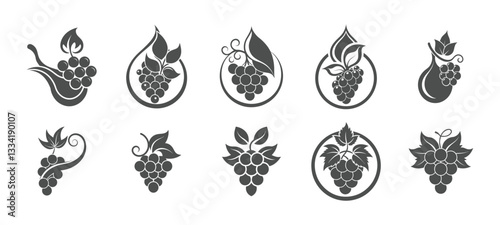 Set of black silhouette grapevine icons with decorative leaves and tendrils, ideal for wine-related branding, packaging, and promotional materials.

