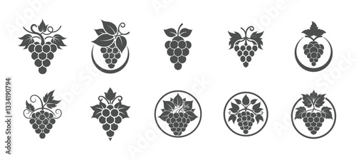 Elegant collection of grapevine decorative icons featuring leaves and tendrils in black silhouette style, perfect for winery logos, labels, and design projects.


