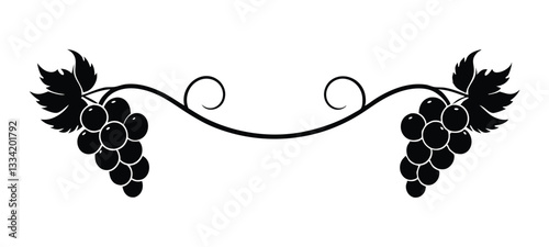 Vector illustration of grapevine ornament with grape clusters and leaves, isolated on white background