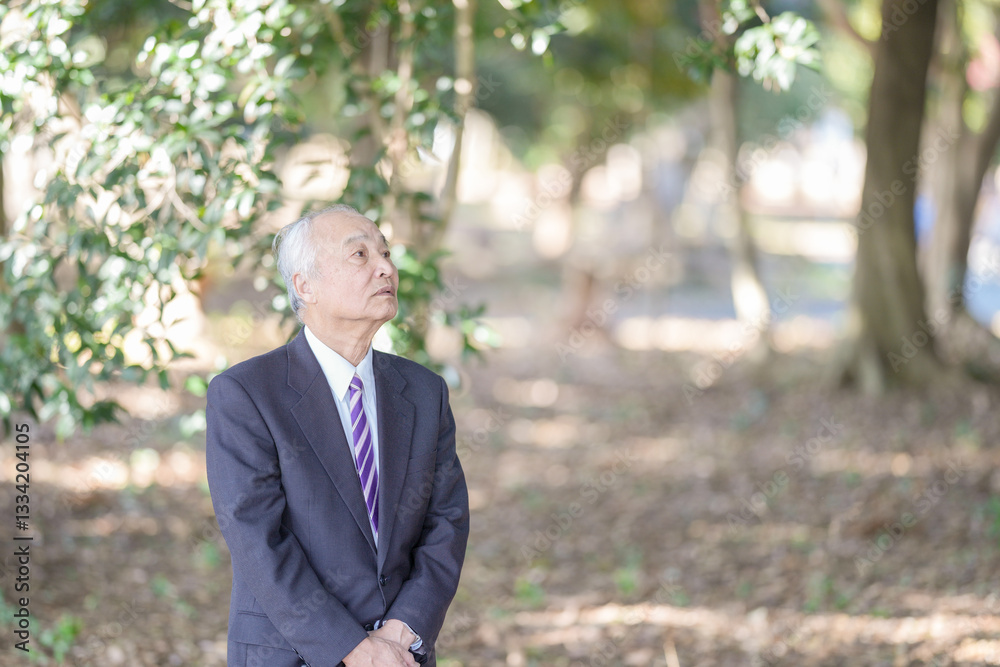 A park on a pleasant spring daytime with plenty of greenery in Japan. A Japanese man in his late 70s wearing a suit stands up. He looks up. A park on a pleasant spring daytime with plenty of greenery in Japan. A Japanese man in his late 70s wearing a suit stands up. He looks up.