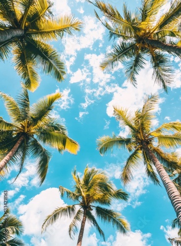 Lush palm trees reaching for a vibrant sky