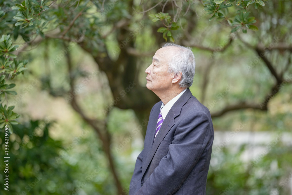 A park on a pleasant spring daytime with plenty of greenery in Japan. A Japanese man in his late 70s wearing a suit stands up. A park on a pleasant spring daytime with plenty of greenery in Japan. A Japanese man in his late 70s wearing a suit stands up.