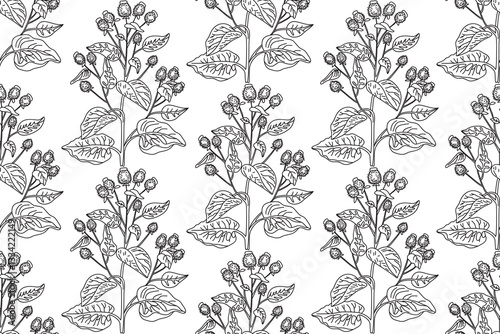 Line art botanical seamless floral pattern with wildflowers vector illustration.Black and white outline repeating plant in white background. Graphic design for Fashion Cover Textile Coloring Page Card