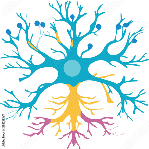 Action Potential