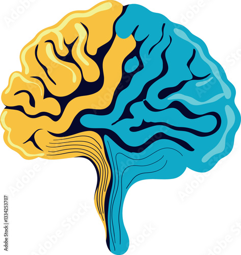 Brain