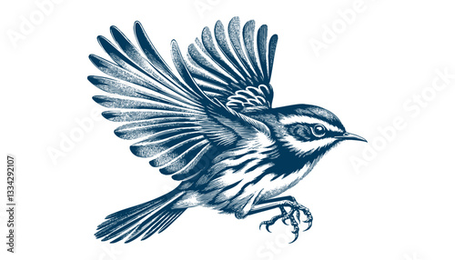warbler bird vector