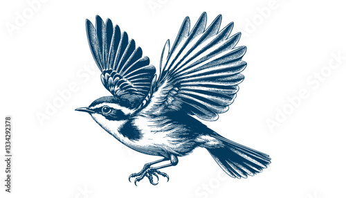 warbler bird vector