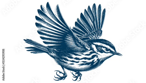 warbler bird vector