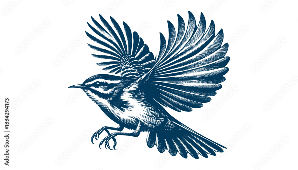 Fototapeta premium warbler bird vector