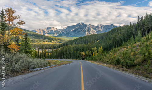 Autumn leaves along Lake Minnewanka Scenic Drive in Banff National Park - Canada	