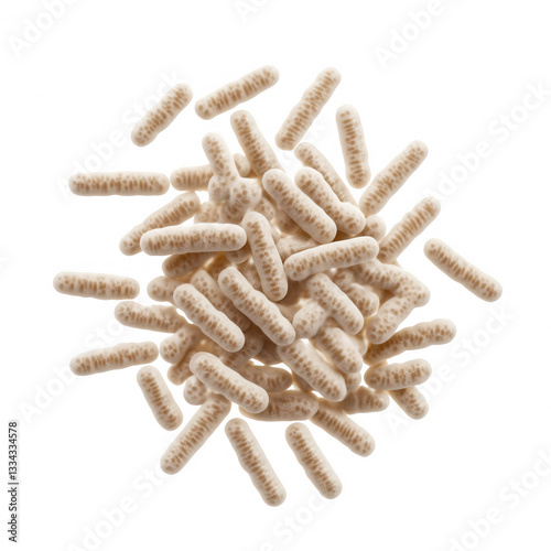 Bacillus subtilis rod shaped bacteria with spores, commonly found in soil, showcasing their unique structure and arrangement. These bacteria play vital role in various ecosystems