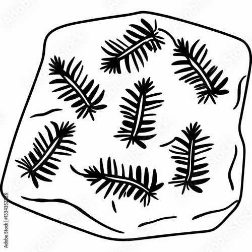 Fossilized fern leaves in rock prehistoric plant impressions unveiling ancient history