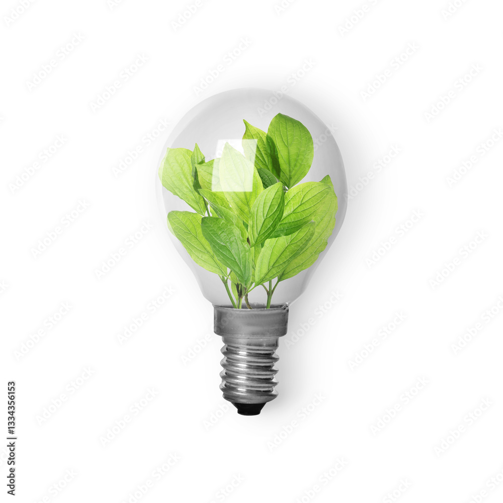 Light bulb with fresh leaves inside on white background, top view. Concepts of eco-friendly environment and saving energy Light bulb with fresh leaves inside on white background, top view. Concepts of eco-friendly environment and saving energy