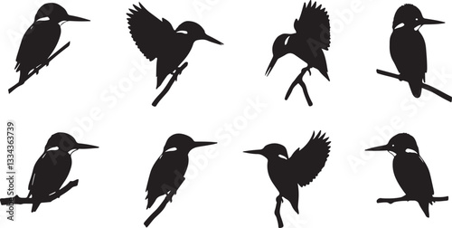 Kingfisher silhouette vector art illustration