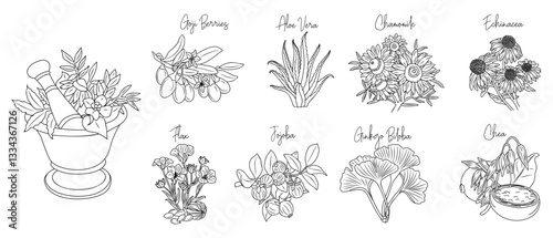 Set of medicinal, cosmetic herbs with mortar. Line art hand drawn vector illustrations isolated on white background