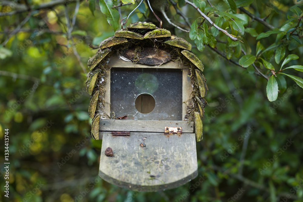 Abandoned Birdhouse in the Woods