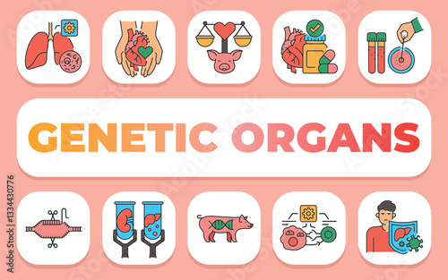 Genetic organs text concept. Shablon for presentation and Infographics.