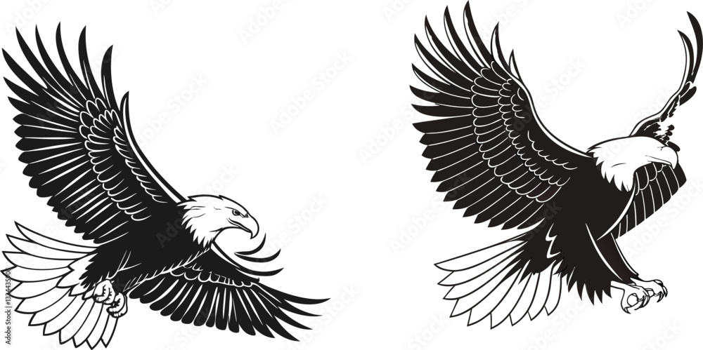 Obraz premium eagle in flight