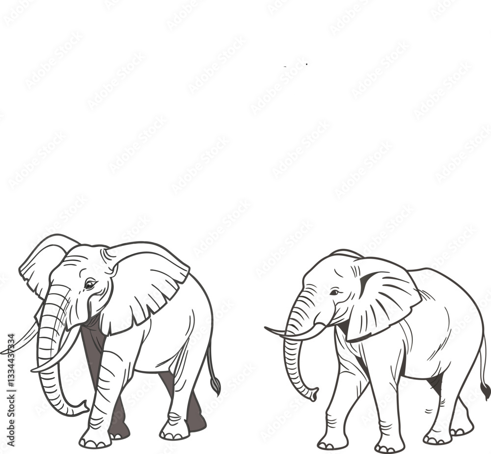 Naklejka premium elephant vector illustration