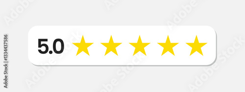 Five stars icon Vector. Five stars customer product rating review flat icon for apps and websites.