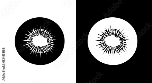 Contrast Symphony: A striking split composition presents two opposing circles, one a stark black and the other pure, adorned with intricate radial patterns.