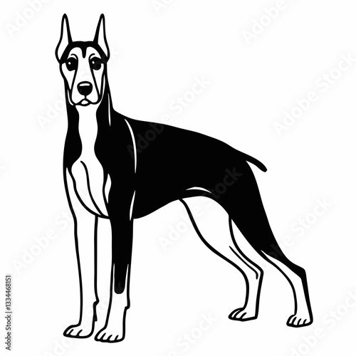 an elegant doberman pinscher dog in black and white vector line art style, perfect for logo or design projects