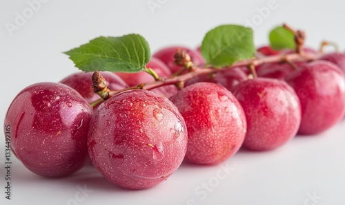Wallpaper Mural Close-up studio shot of a row of shiny, vibrant red plums with green leaves on a bright white background Torontodigital.ca