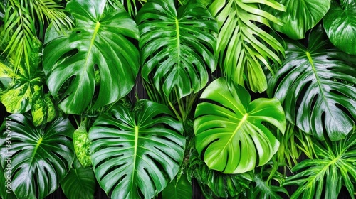 Lush tropical foliage backdrop (1)