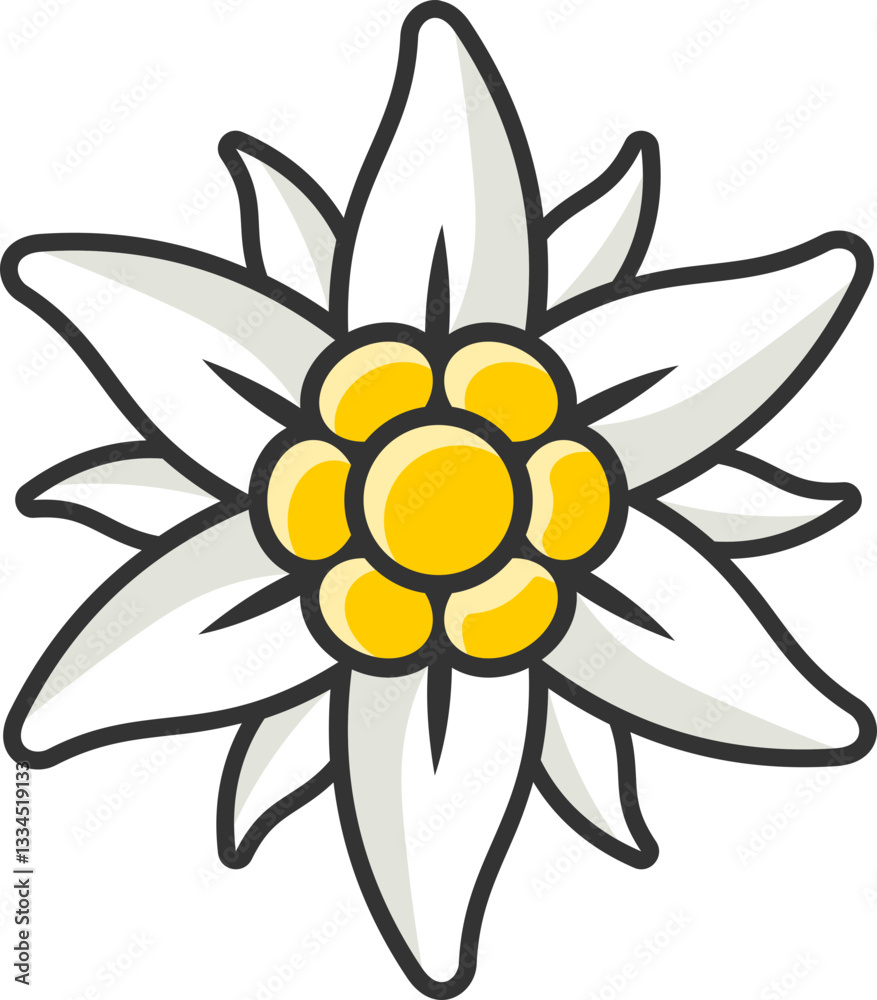 Edelweiss Edelweiss