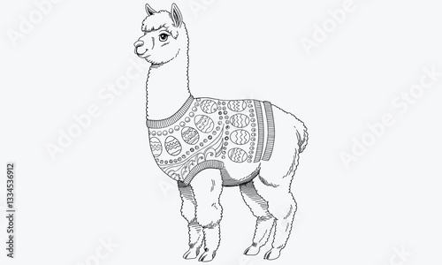 The alpaca is wearing a rough-textured sweater with a pattern of simple decorated Easter eggs