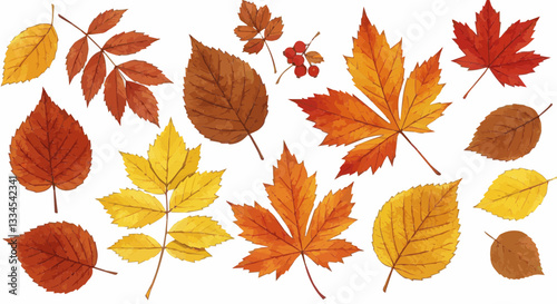 set of autumn leaves