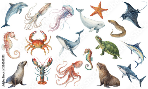 Watercolor Marine Life Collection