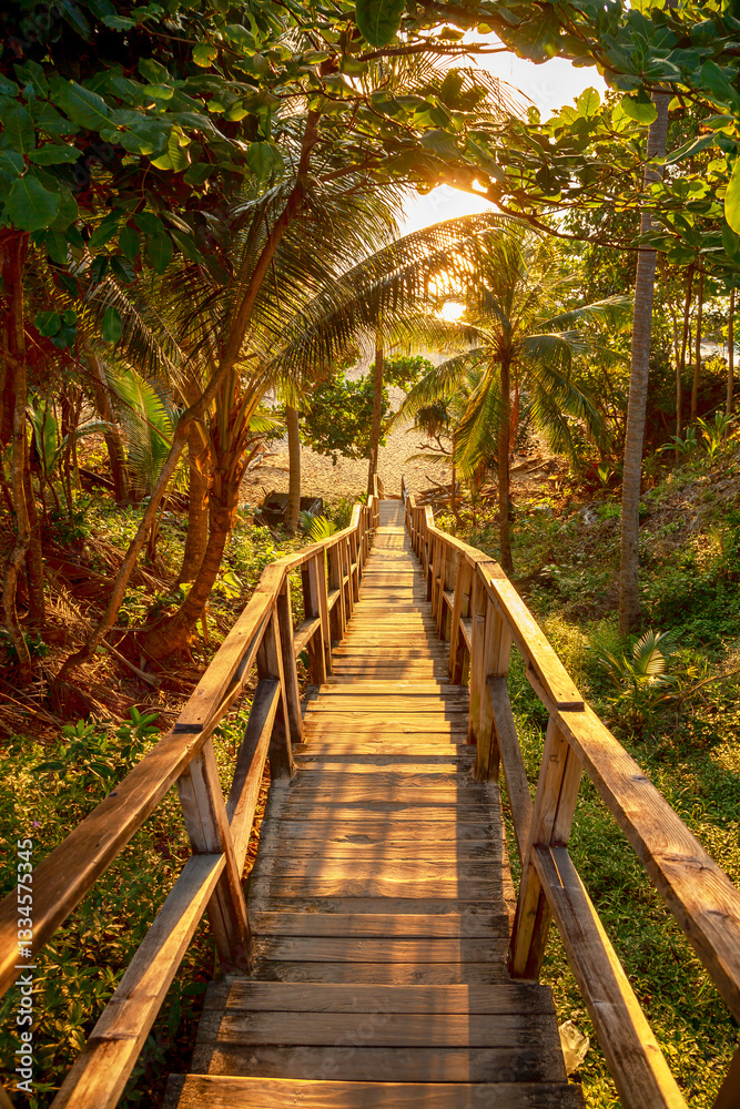 Wooden stairs leading to the beach through tropical trees in Phuket, Thailand. Famous tourist destination in Phuket, Thailand. Nai Thon Beach is one of the picturesque beaches of Phuket.