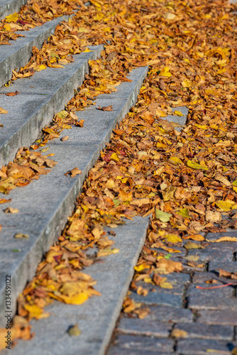 Autumn leaves collecting in stone stairs by a park.