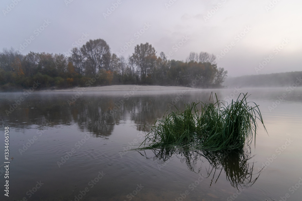 Fototapeta premium morning mist on the lake