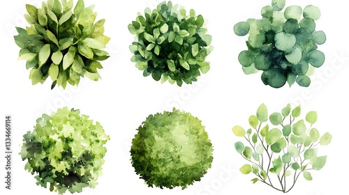 Watercolor Paintings Featuring Various Topiary And Shrubbery Arrangements