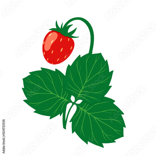 postcard with strawberries, isolated element