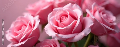 Close-up of delicate pink roses, perfect for romantic designs and Valentine's Day themes, roses, soft, background
