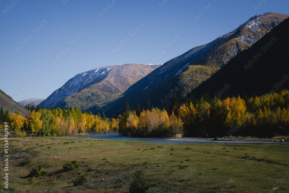 An autumn landscape in the Altai Republic featuring mountains, a forest, and a winding river, showcasing the season's vibrant colors and serene beauty.