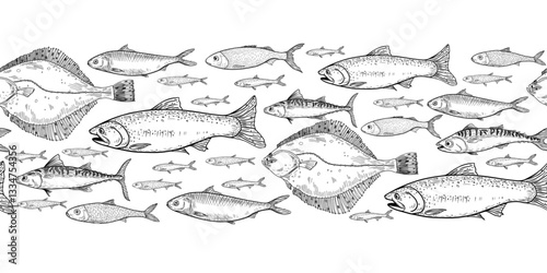 School of fish flounder, salmon black white vector seamless border. Shoal sardine, anchovy, mackerel engraving hand drawn. Flock herring sea fish monochrome repeat banner in graphic line art.