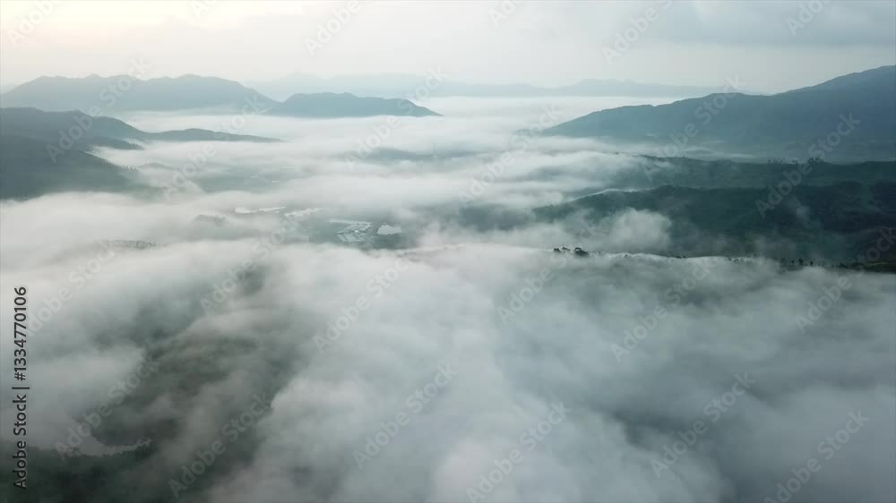 fog in the mountains fog in the mountains