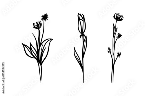 Nature-Themed Wildflower Botanical Sketch in Line Art, Minimalist Wildflower Sketch, Hand-Drawn Floral and Wildflower Elements in Line Art