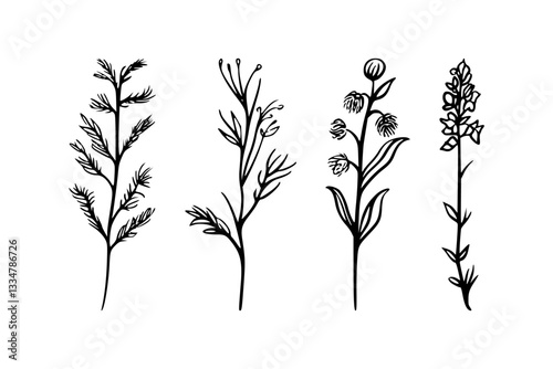 Artistic Wildflower Floral Line Art with Minimalist Design, Minimalist Botanical Wildflower Flower Line Art Drawing, Set of Flower Line Art