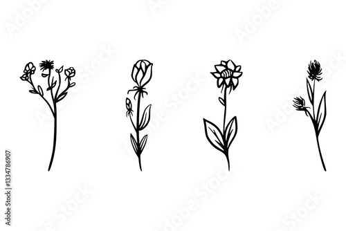 Set of Hand-Drawn Wildflower Floral Line Art Vector Design, Elegant Wildflower Line Art Floral Vector Illustration