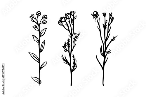 Elegant Wildflower Line Art Floral Vector Illustration, Fine Line Floral Wildflower Vector for Elegant Designs