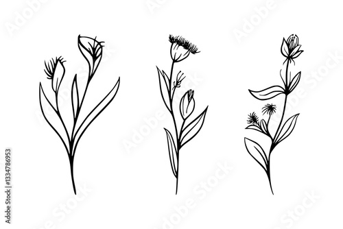 Minimalist botanical wildflower floral line art drawing, hand-sketched delicate flower illustration, floral line art vector illustration