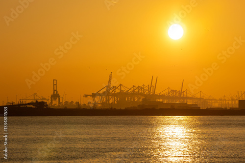 The silhouette of the gantry cranes set against sunset sky at Europoort, Rotterdam